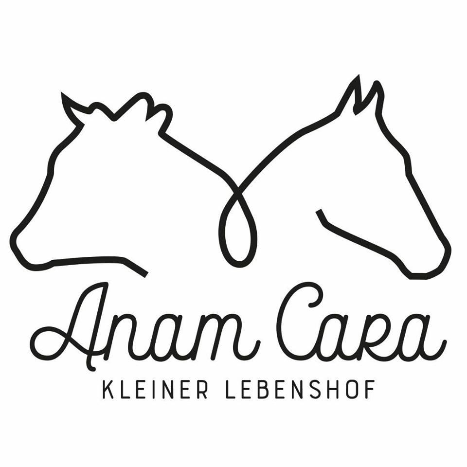 Logo Anam Cara