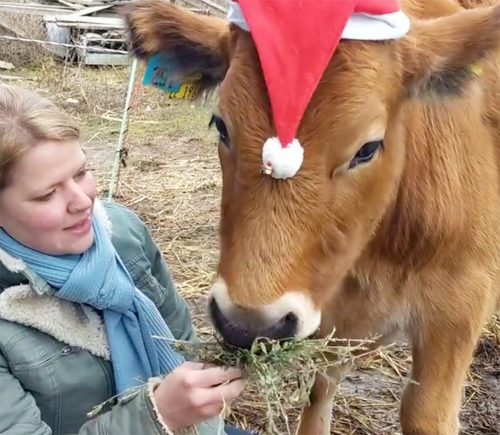 Frohe Weihnachten!